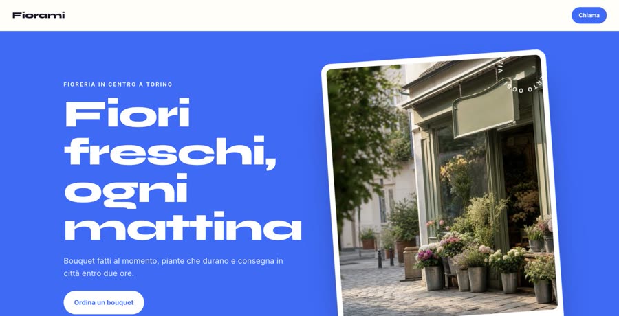 Modello Vetrina · negozi